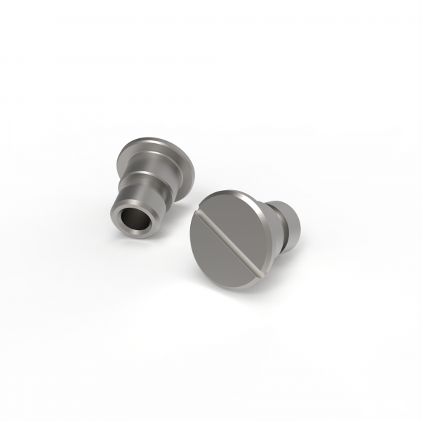 A stainless steel screw